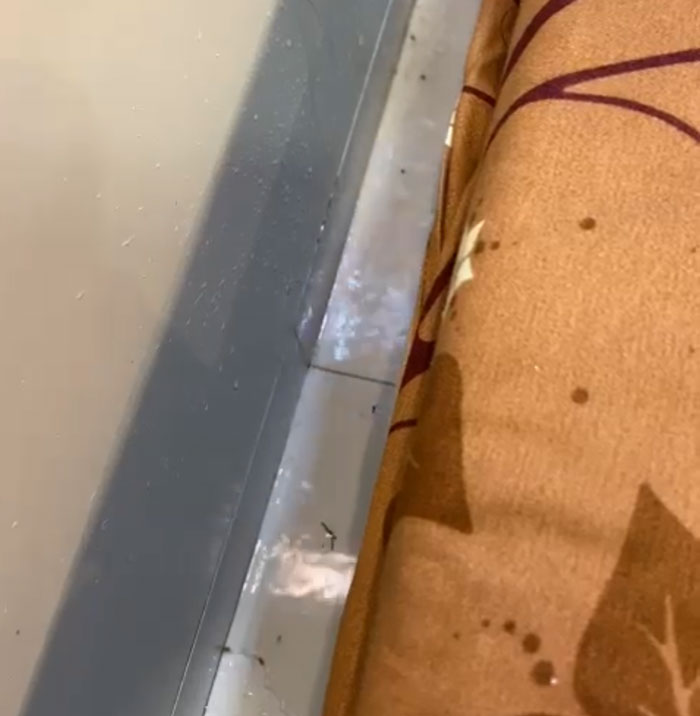 Image 1: Water leaking from the ceiling